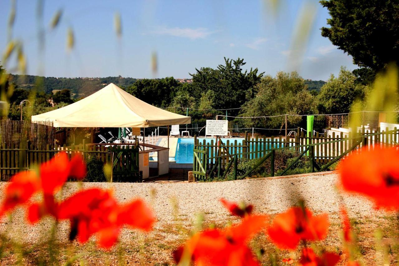 Agriturismo Il Belvedere Country Houses 马萨马里蒂马 外观 照片