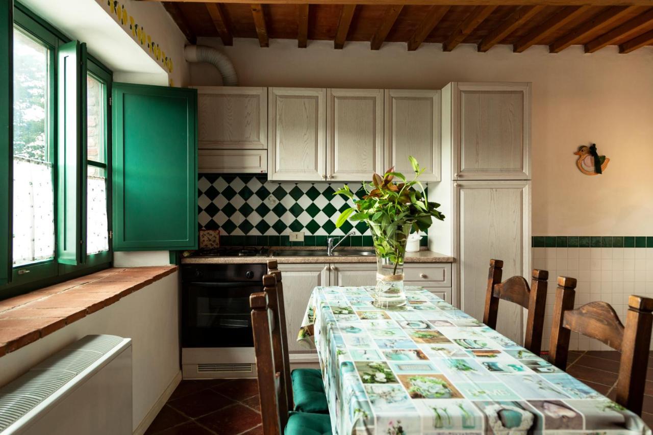 Agriturismo Il Belvedere Country Houses 马萨马里蒂马 外观 照片